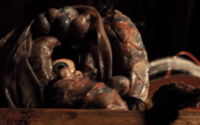 An Eye for Detail, Real Fake Blood Films introduces: Pupil